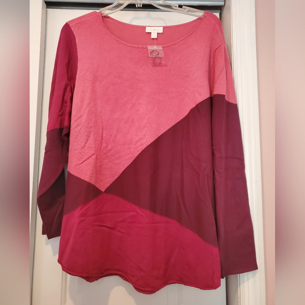 Belle by Kim Gravel Colorblock Long Sleeve Top